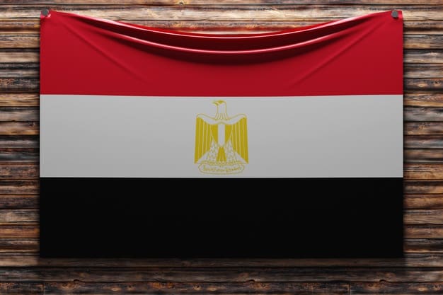 illustration national fabric flag egypt nailed wooden wall 116124 2647